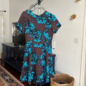 Who what wear dress. Brand new size small